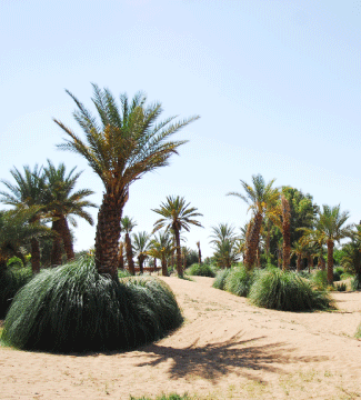 Jardins Oasiria